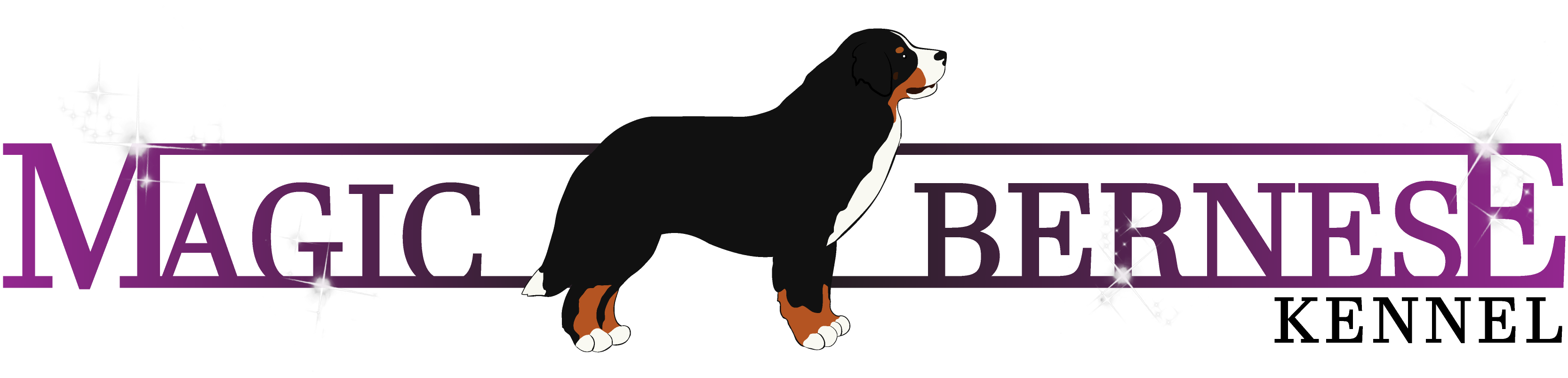 Berni pásztorkutya tenyészet